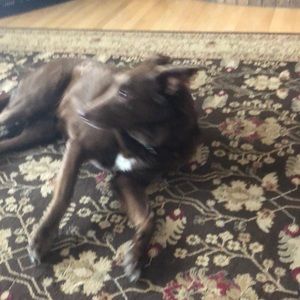 Meet your Posher, Ryan